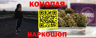 крисы Лесосибирск