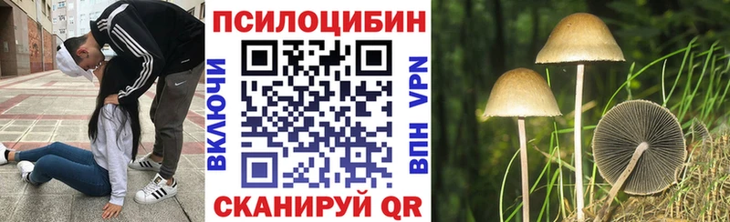 Псилоцибиновые грибы MAGIC MUSHROOMS  Сафоново 