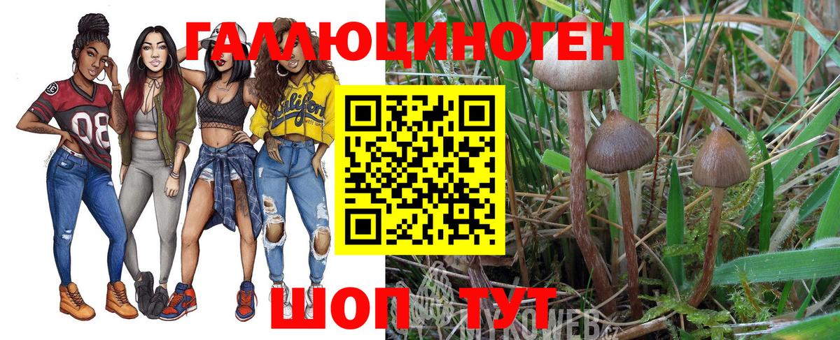 Галлюциногенные грибы Magic Shrooms  Вход с VPN  дарнет шоп  Сафоново  Галлюциногенные грибы мицелий 