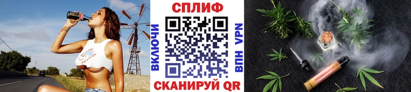 наркота  Сафоново  Бошки Шишки марихуана 
